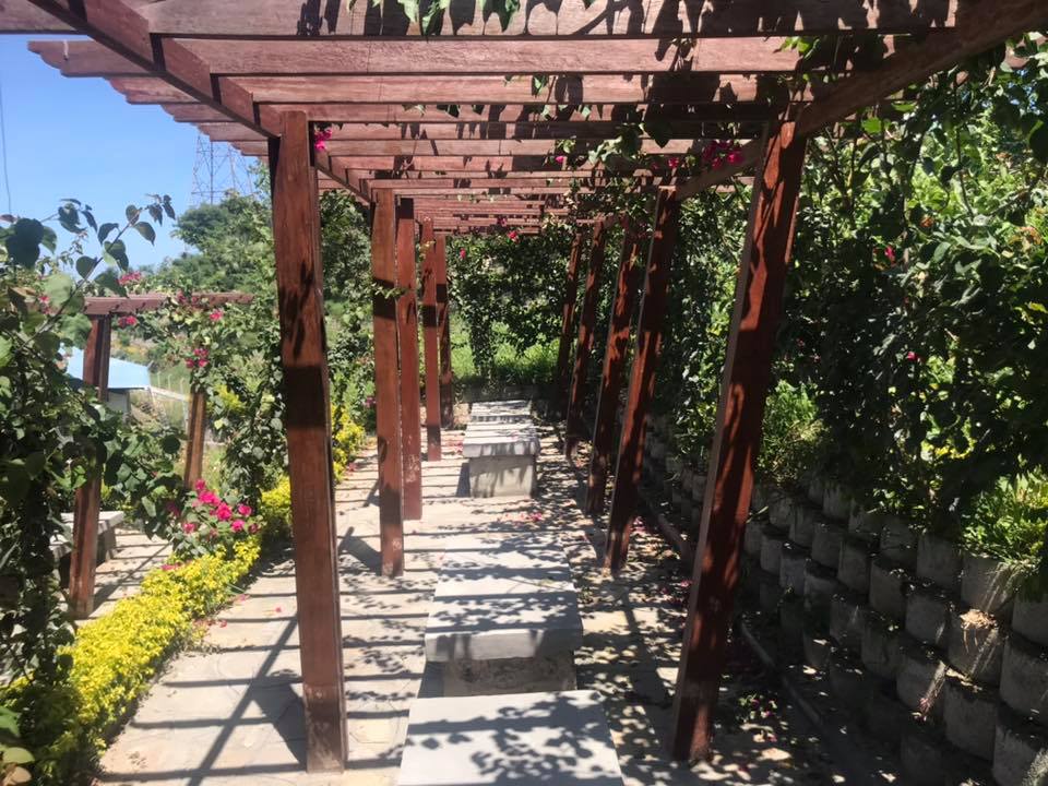 Classic Villa Design